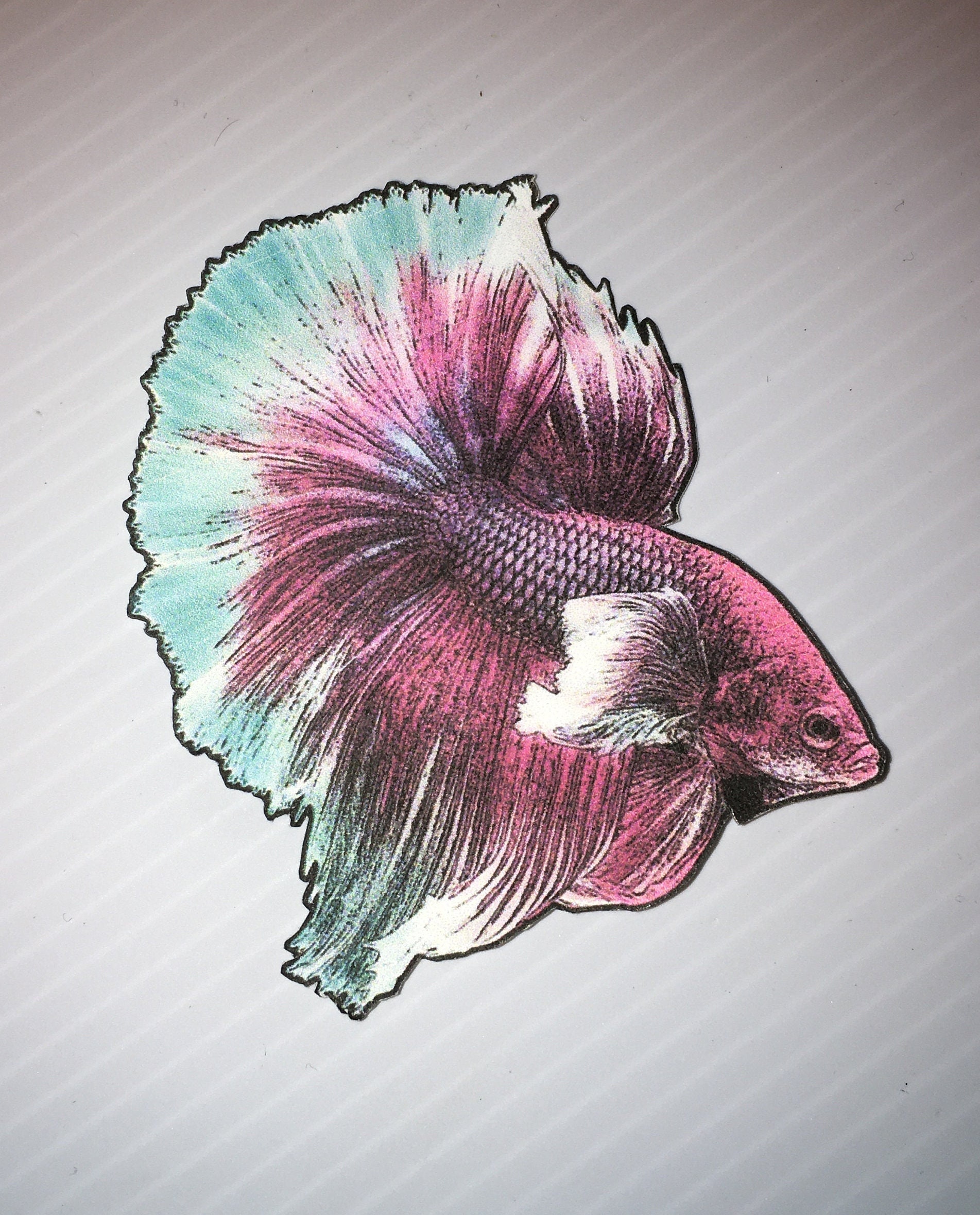 Betta Fish Stickers - Etsy