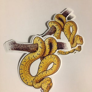 May include: A yellow and green snake with black spots is wrapped around a brown branch. The snake is curled up in a coil, with its head facing the viewer. The snake is a sticker, and there are multiple layers of the sticker stacked on top of each other.