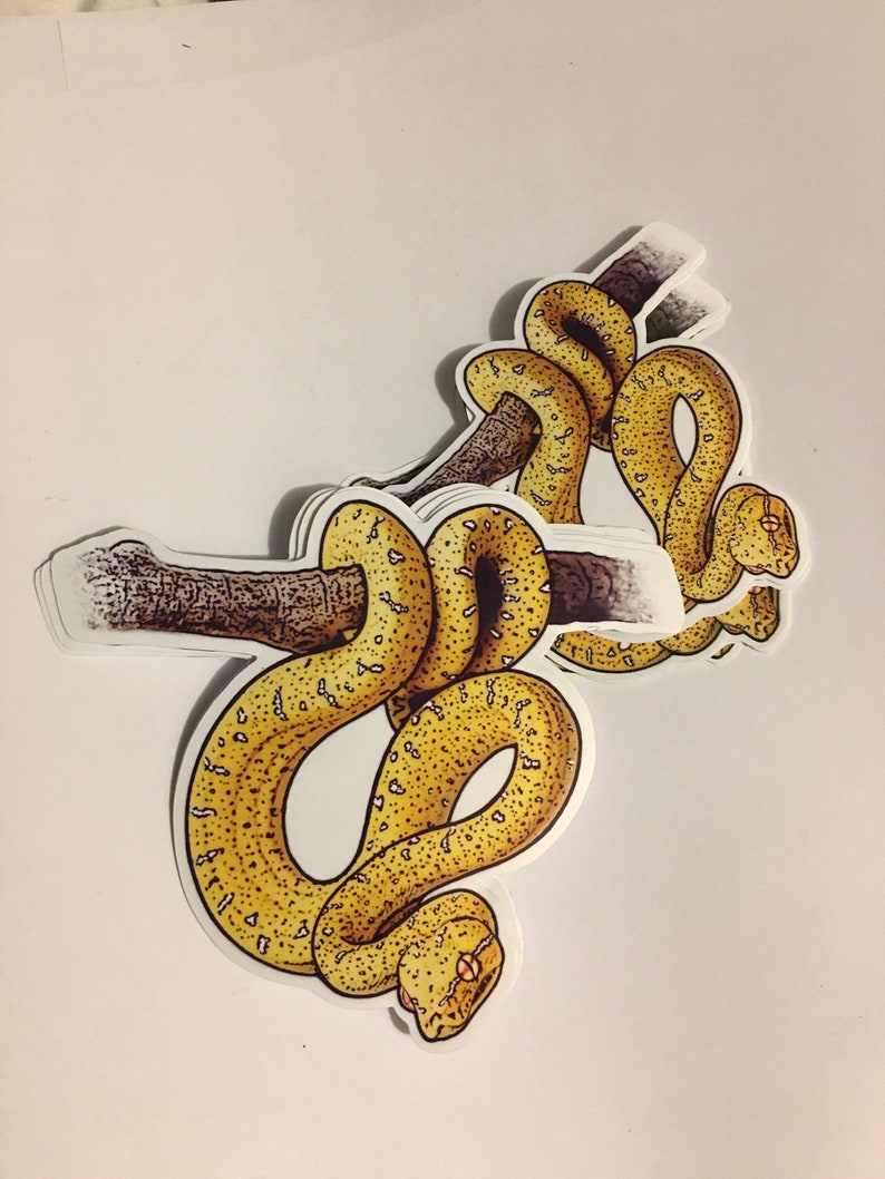 May include: A yellow and green snake with black spots is wrapped around a brown branch. The snake is curled up in a coil, with its head facing the viewer. The snake is a sticker, and there are multiple layers of the sticker stacked on top of each other.