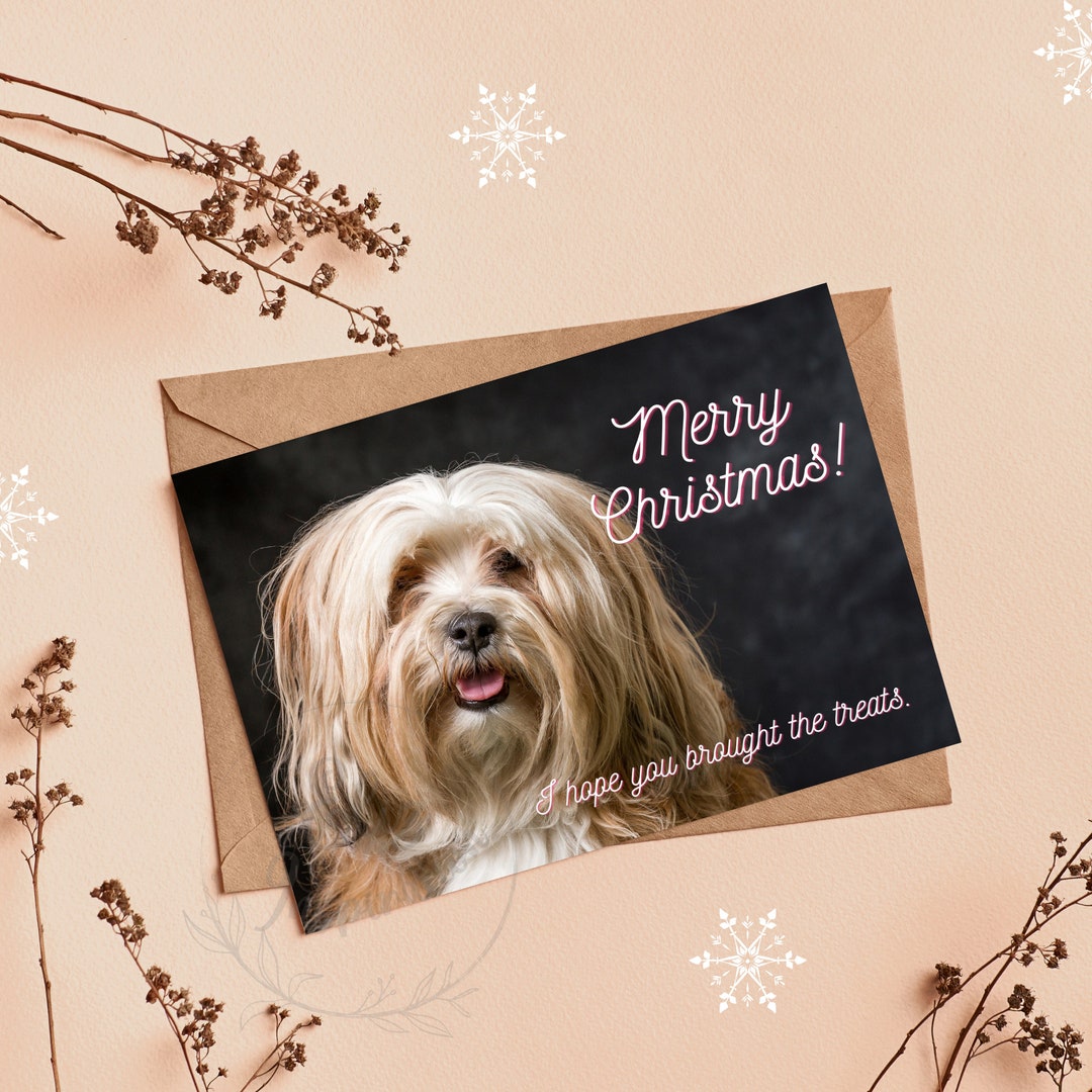 Cute Dog Christmas Card Funny Pup Greetings Digital Etsy