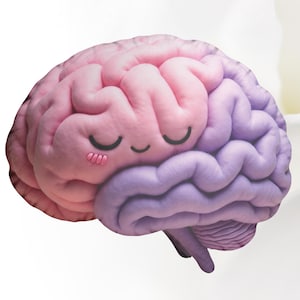 Cuscino Brain Hug / Peluche Kawaii / Regalo per la salute mentale / Sollievo dall&#39;ansia / Decorazione per la cura di sé / Peluche terapeutico / Cuscino carino per dormitorio o ufficio