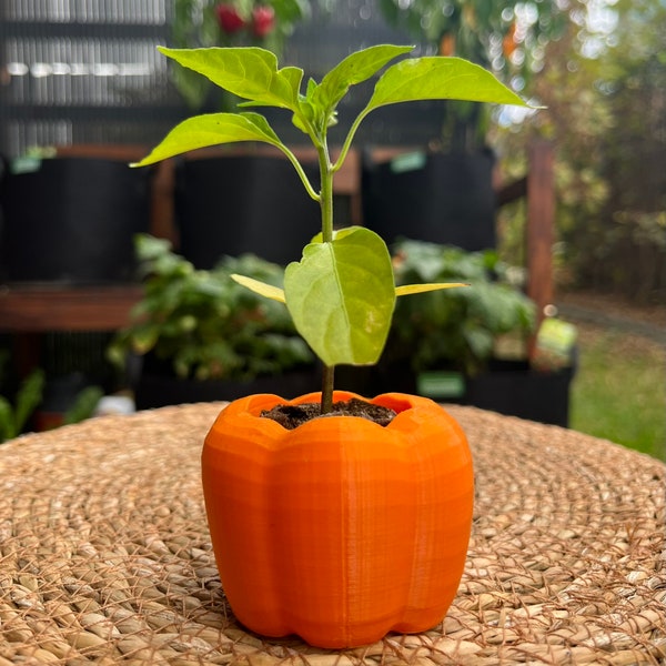 Paprika Blumentopf Anzuchttopf in 3 verschiedenen Größen