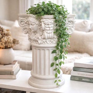 Può includere: Una fioriera bianca in stile classico con un design a volto scolpito, piena di piante verdi pendenti. La fioriera è su un tavolo bianco, insieme a libri, una candela e una decorazione a forma di stella. Il tema generale è l'arredamento della casa.