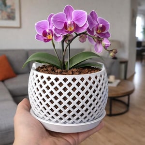 Belüfteter Orchideen-Übertopf mit Drainage – Blumentopf mit Luftlöchern – Moderner Pflanztopf für Phalaenopsis – Topf mit Untersetzer - OO3