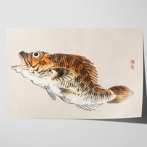 Kono Bairei - Decorazione murale vintage Muskellunge, opera d'arte giapponese di pesci e illustrazione della natura per casa e ufficio
