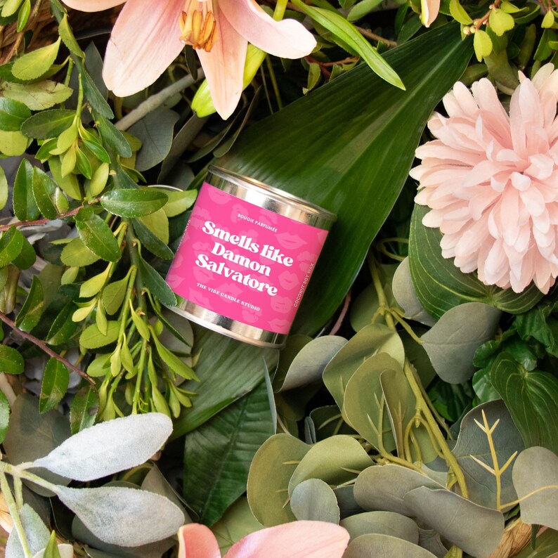 Smells Like Damon Salvatore Candle Vampires Diaries Candle Funny Gift