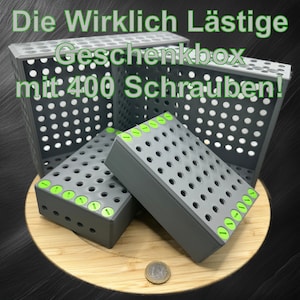 Lästige Geschenkbox mit 400 Schrauben und 1 Schraubendreher | Arschlochbox | Geschenkidee | Ärgern | Nervige Verpackung