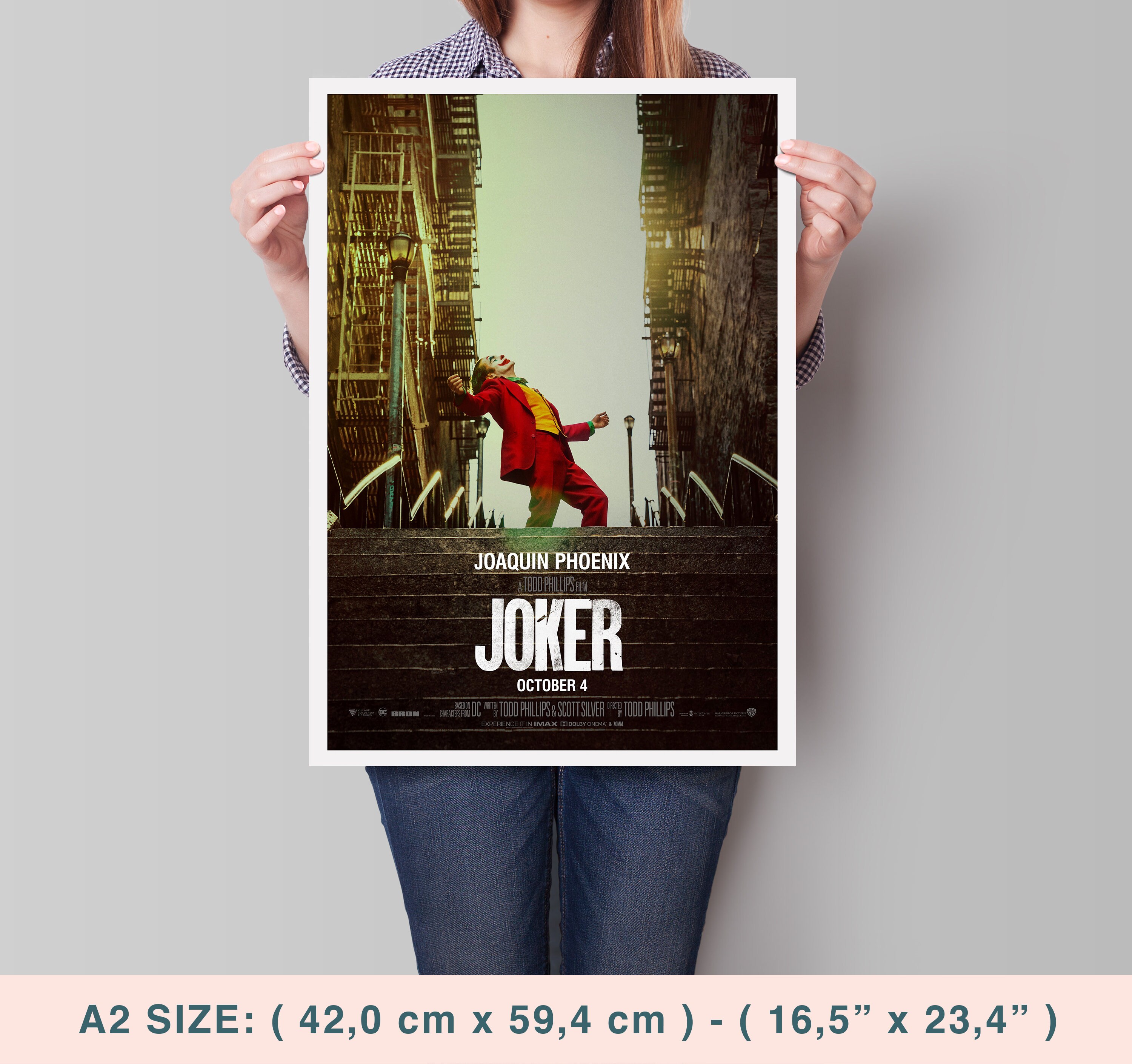 PaniCrew FDVS4.5 JOKER DVD パンフレット パニクルー Amazon.com