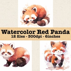 Acuarela Kawaii Red Pandas Clipart Set / PNG Bundle / Descarga instantánea para uso comercial / Animales Kawaii, Pandas lindos, Anime adorable