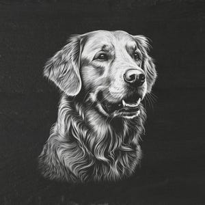 May include: A detailed monochrome illustration of a Golden Retriever dog. The dog's fur is finely detailed, with highlights and shadows adding depth. The dog is looking to the side with its mouth slightly open, set against a dark background.