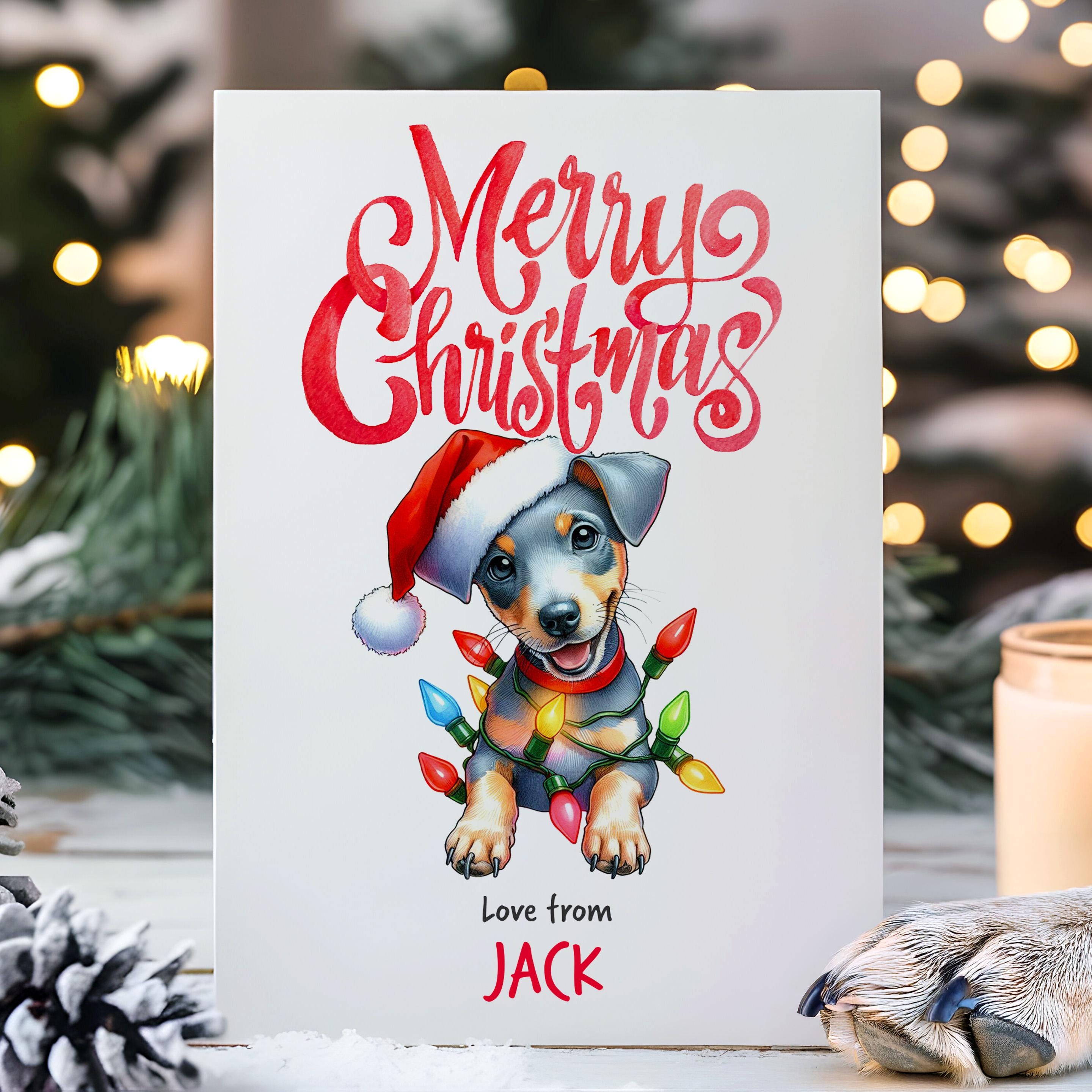 Jack Russell Christmas Card Ireland