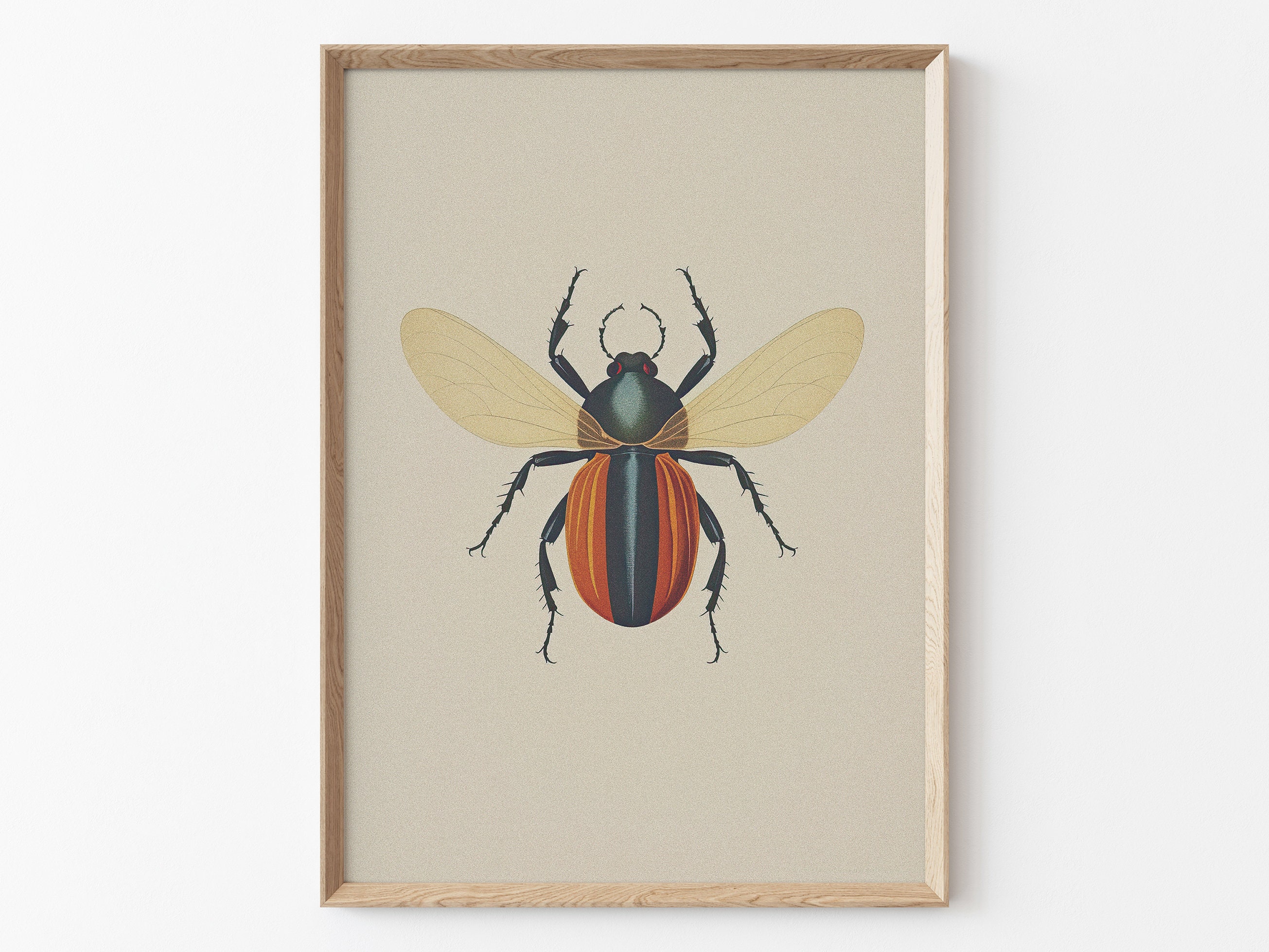 Antique Beetles Vintage Bugs PRINTABLE Wall Art Prints Set - Etsy