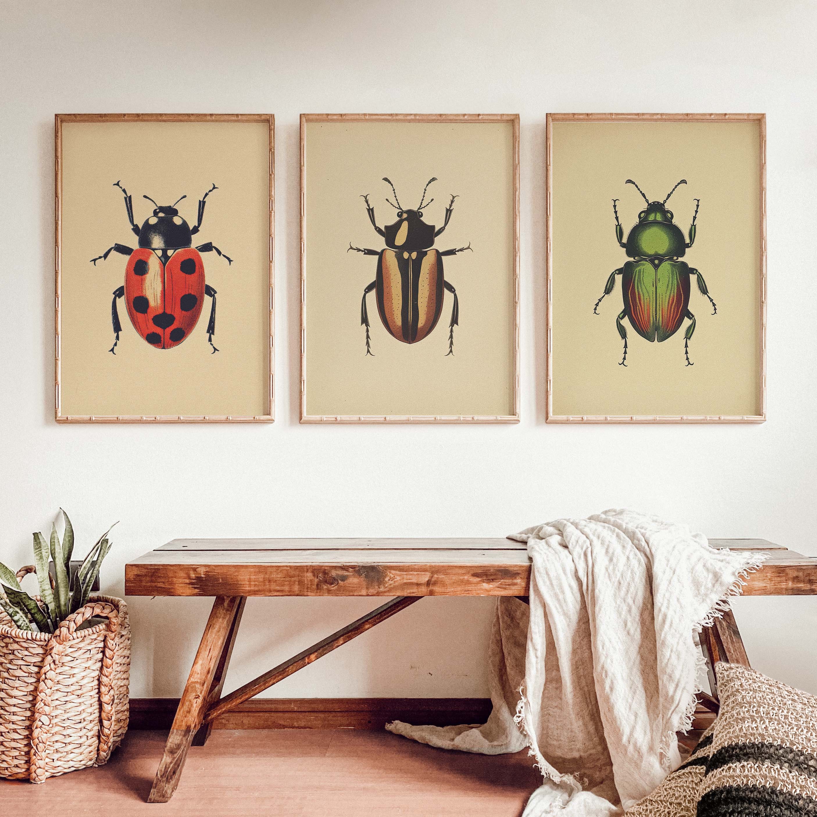 Antique Beetles, Vintage Bug PRINTABLE Wall Art Prints Set of 3 Bundle ...