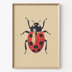 Antique Beetles, Vintage Bug PRINTABLE Wall Art Prints Set of 2 Bundle ...