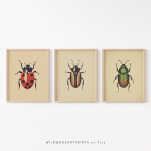 Antique Beetles, Vintage Bug PRINTABLE Wall Art Prints | Set of 3 Bundle Insect Poster | Boho Neutral Home Decor Instant DIGITAL DOWNLOAD