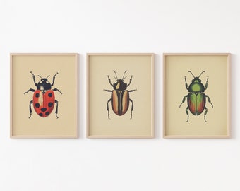Antique Beetles, Vintage Bug PRINTABLE Wall Art Prints | Set of 3 Bundle Insect Poster | Boho Neutral Home Decor Instant DIGITAL DOWNLOAD