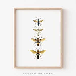 Vintage Insect Art Print, Art Nouveau PRINTABLE Wall Art, Honey Bee Illustration, Minimalist Bumble Bee Home Decor, Instant DIGITAL DOWNLOAD