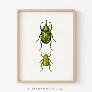Vintage Scarab Beetle Art Print, Green Insect PRINTABLE Wall Art, Cute Bug Illustration, Mid Century Home Decor, Instant DIGITAL DOWNLOAD
