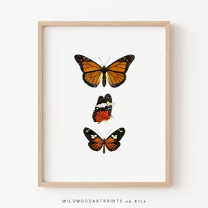 Monarch Butterfly Art Print, Butterfly PRINTABLE Wall Art, Old Vintage Insect Poster, Boho Illustration Home Decor, Instant DIGITAL DOWNLOAD