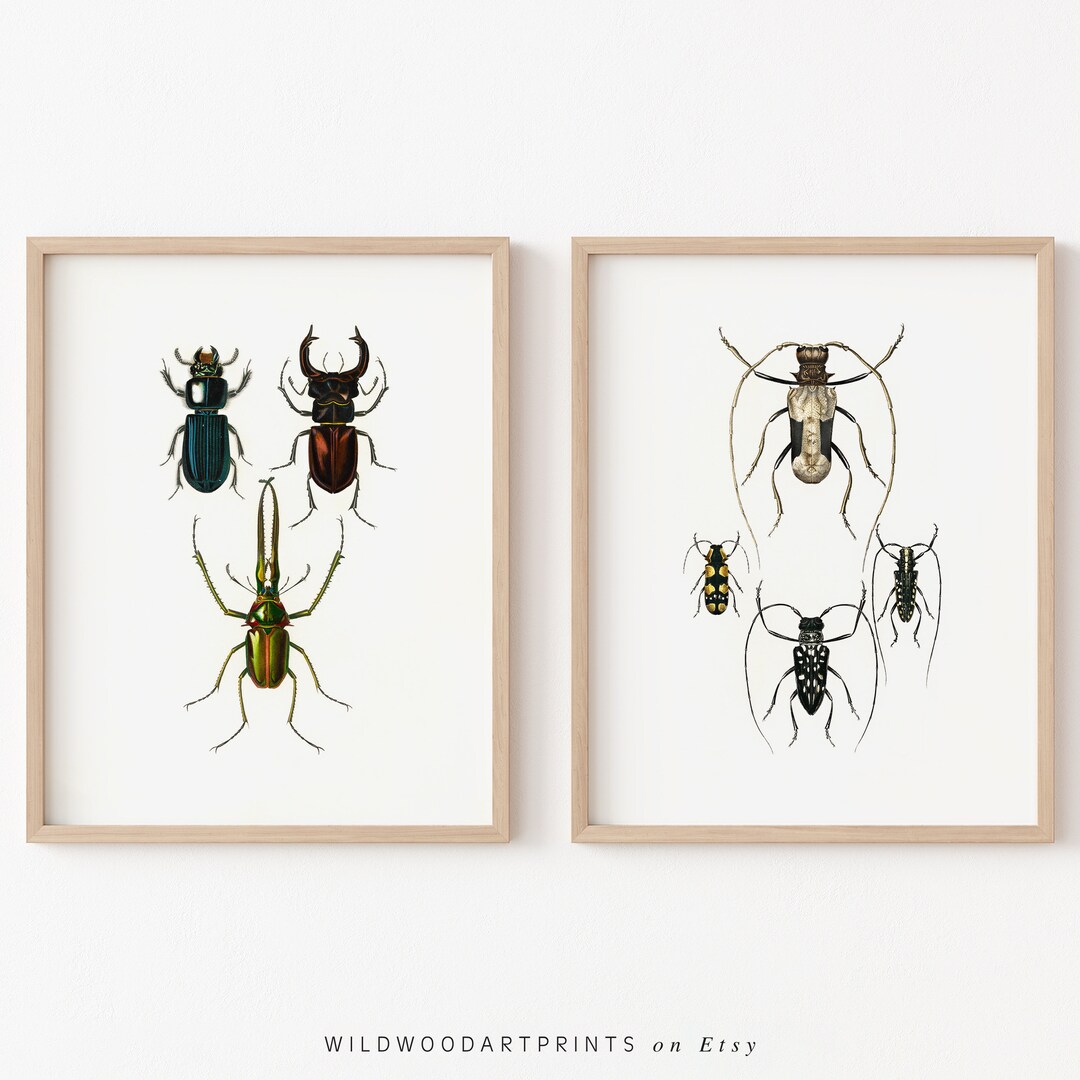Vintage Insect Art Print, Set of 2 PRINTABLE Wall Art, Antique Scarab ...