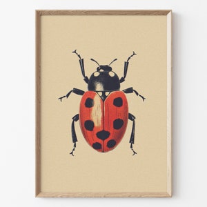 Antique Beetles Vintage Bug PRINTABLE Wall Art Prints Set - Etsy