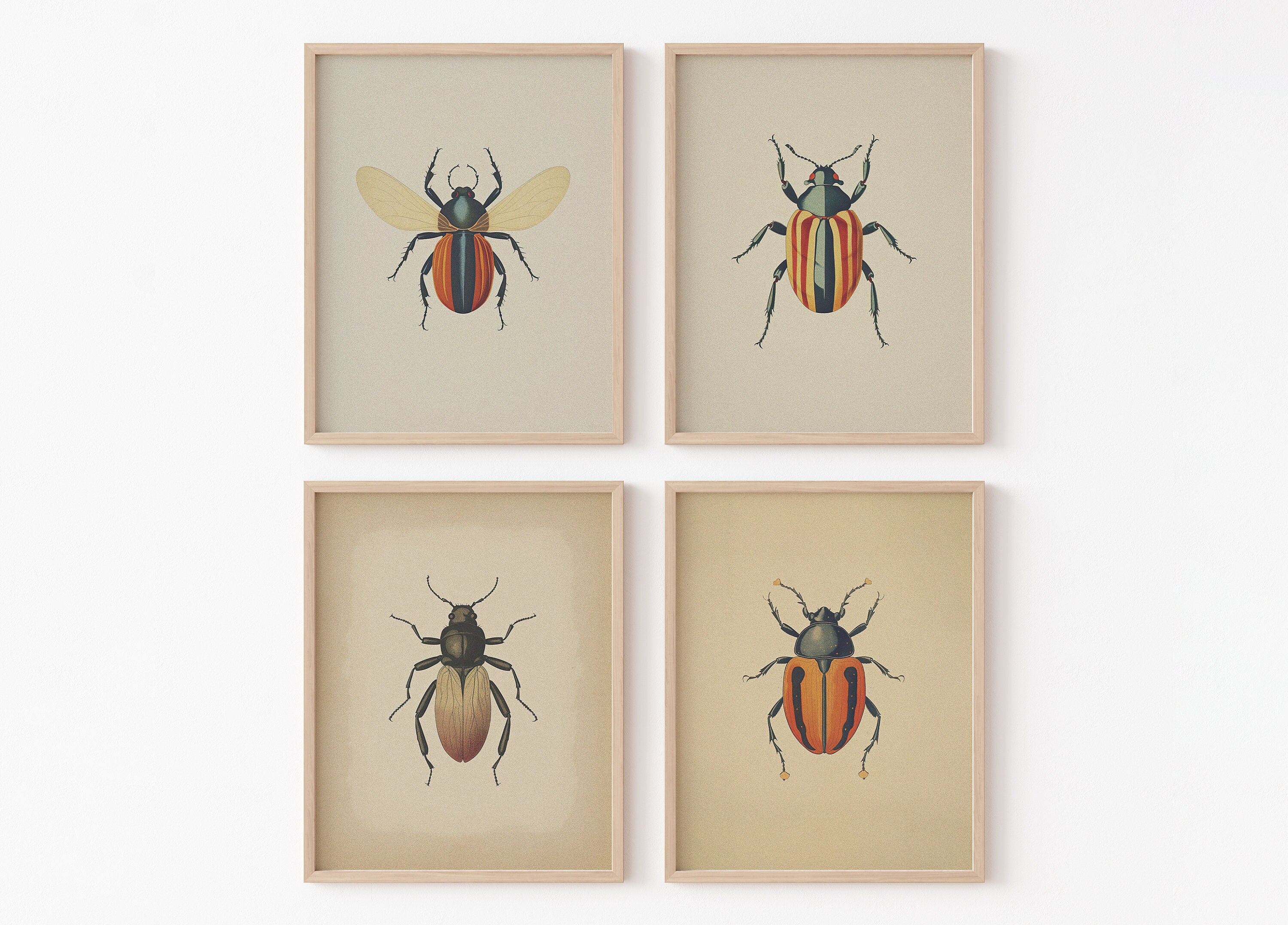 Antique Beetles, Vintage Bugs PRINTABLE Wall Art Prints | Set of 4 ...