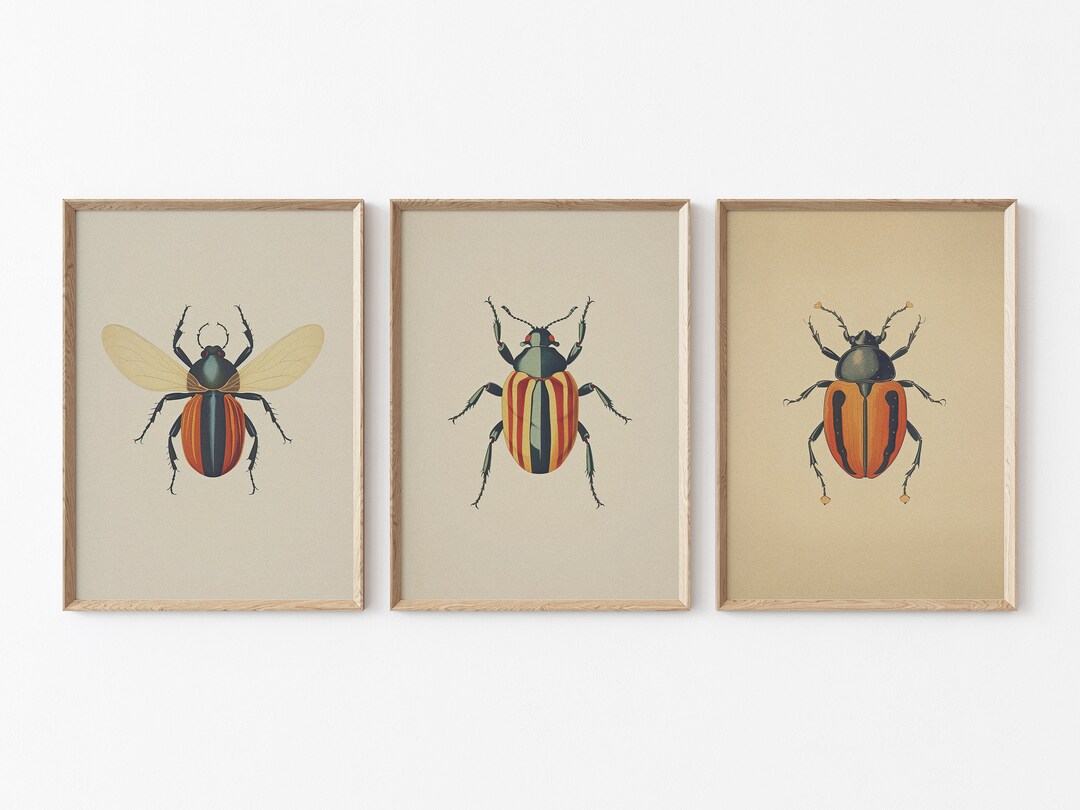 Antique Beetles Vintage Bugs PRINTABLE Wall Art Prints Set - Etsy