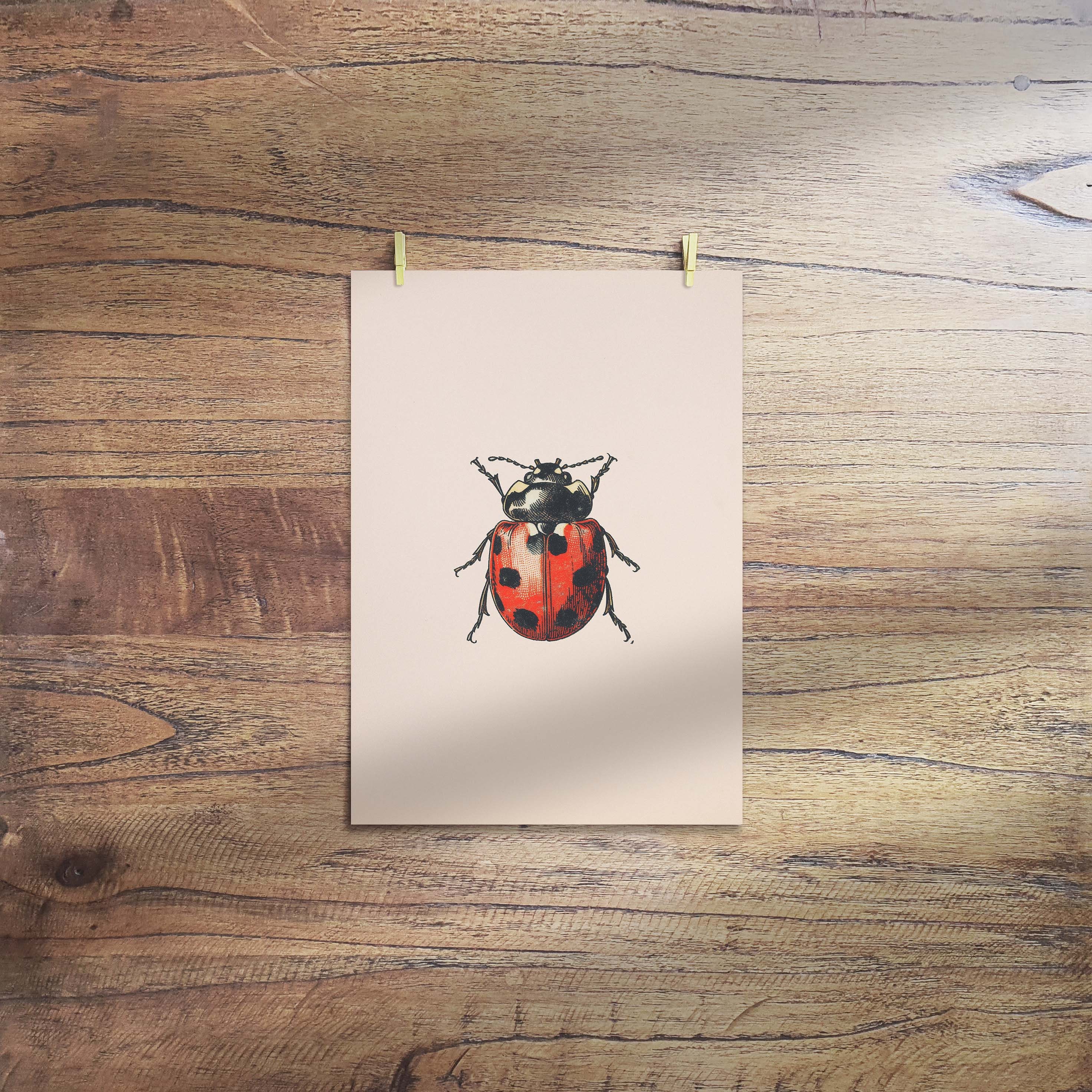 Vintage Ladybug, Colourful Beetle PRINTABLE Wall Art Print | Cute Red ...