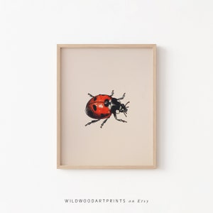 Cute Ladybug Print, Colourful Lady Beetle PRINTABLE Wall Art | Contemporary Art Poster | Minimalist Nursery Decor Instant DIGITAL DOWNLOAD