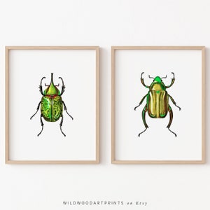 Green Scarab Beetle Art Print, Set of 2 PRINTABLE Wall Art, Cute Insect Illustration, Retro Vintage Home Decor, Instant DIGITAL DOWNLOAD