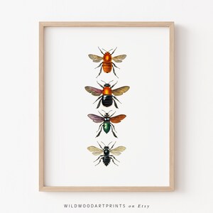 Vintage Insect Art Print, Retro Beetle PRINTABLE Wall Art, Bug Poster, Bee Illustration, Antique Animal Home Decor, Instant DIGITAL DOWNLOAD