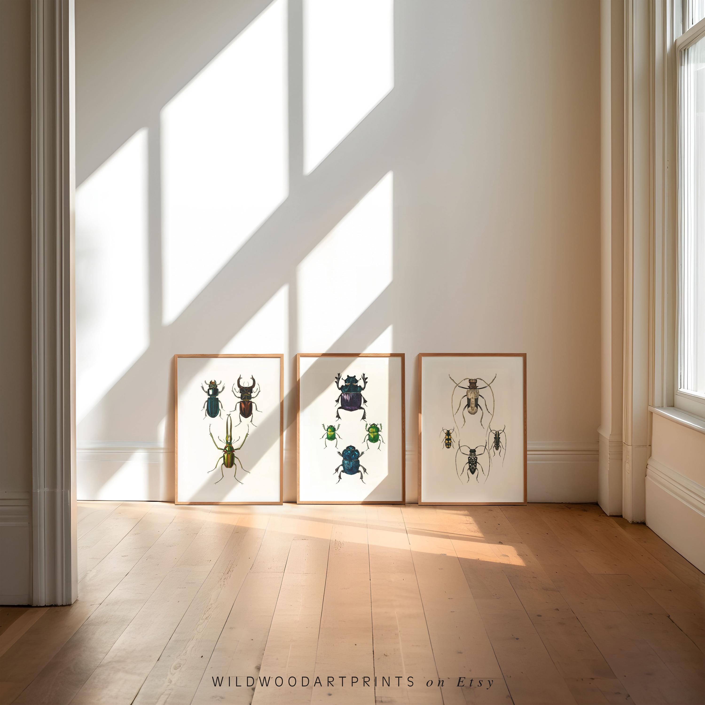 Vintage Insect Art Print, Set of 3 PRINTABLE Wall Art, Art Nouveau ...