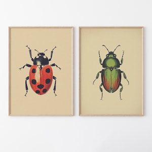 Antique Beetles, Vintage Bug PRINTABLE Wall Art Prints | Set of 2 Bundle Insect Poster | Boho Neutral Home Decor Instant DIGITAL DOWNLOAD