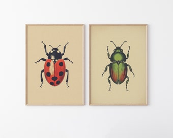 Antique Beetles, Vintage Bug PRINTABLE Wall Art Prints | Set of 2 Bundle Insect Poster | Boho Neutral Home Decor Instant DIGITAL DOWNLOAD