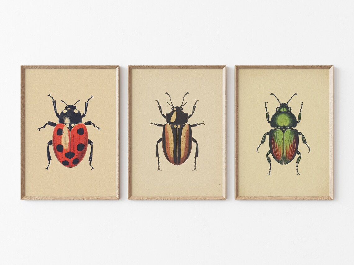 Antique Beetles Vintage Bug PRINTABLE Wall Art Prints Set - Etsy
