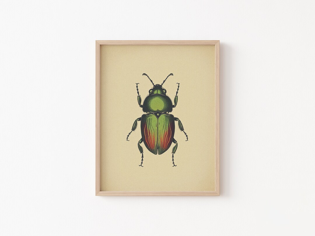 Vintage Bug Insect, Antique Beetle PRINTABLE Wall Art Print ...
