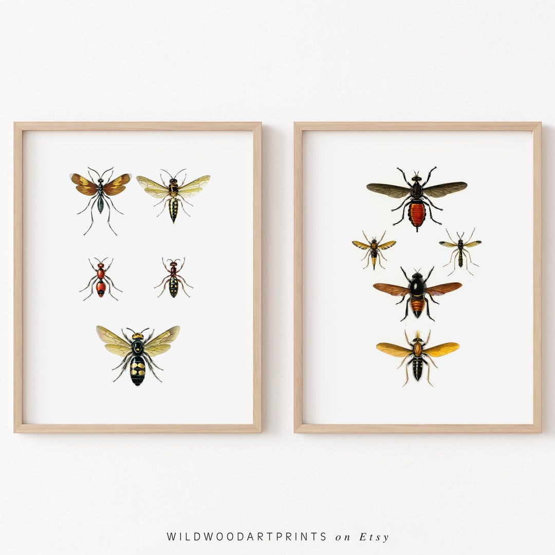 Vintage Insect Art Print, Set of 2 PRINTABLE Wall Art, Retro Honey Bee ...