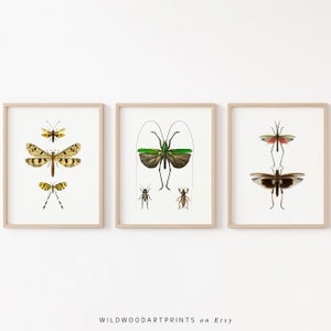 Vintage Insect Art Print, Set of 3 PRINTABLE Wall Art, Art Nouveau Butterfly Poster, Retro Dragonfly Home Decor, Instant DIGITAL DOWNLOAD