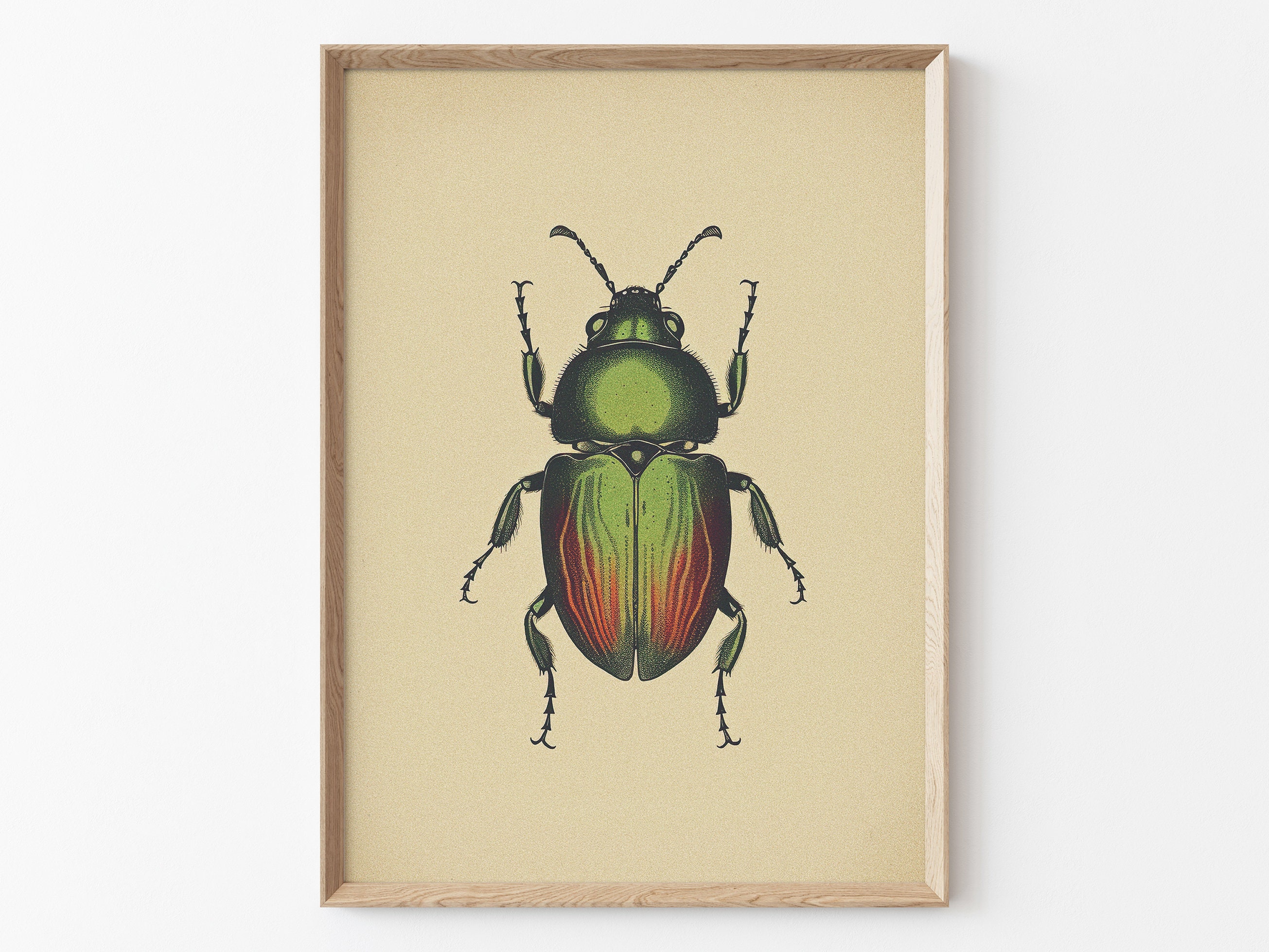 Antique Beetles, Vintage Bug PRINTABLE Wall Art Prints | Set of 2 ...