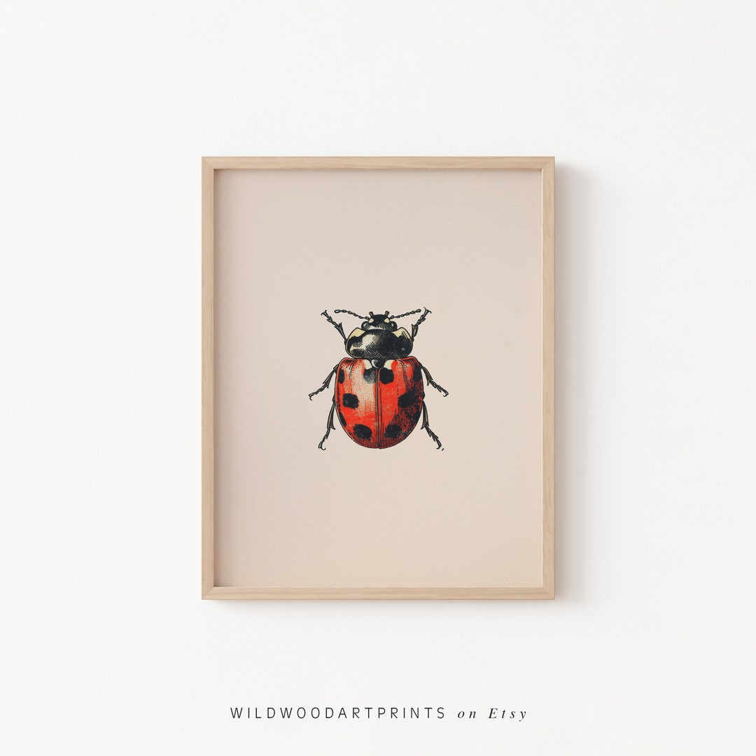 Vintage Ladybug, Colourful Beetle PRINTABLE Wall Art Print | Cute Red ...