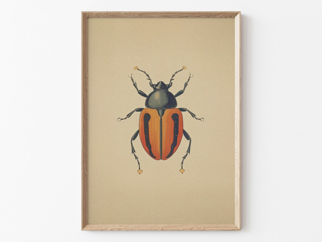 Vintage Bug Insect, Antique Beetle PRINTABLE Wall Art Print ...