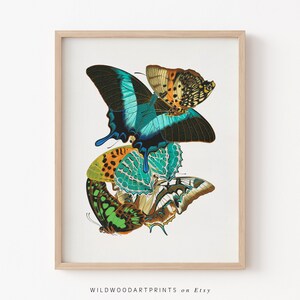 Butterfly Art Print, Boho PRINTABLE Wall Art, Vintage Insect Poster, Retro Animal Illustration, Office Home Decor, Instant DIGITAL DOWNLOAD