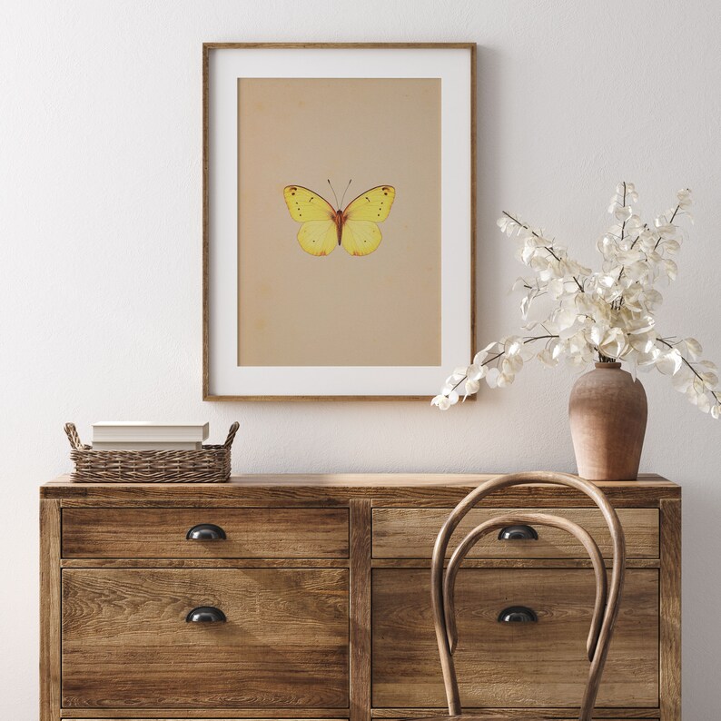 Antique Butterfly Art Print PRINTABLE Wall Art Colourful Vintage Insect antique-butterfly-art-print-printable-wall-art-colourful-vintage-insect