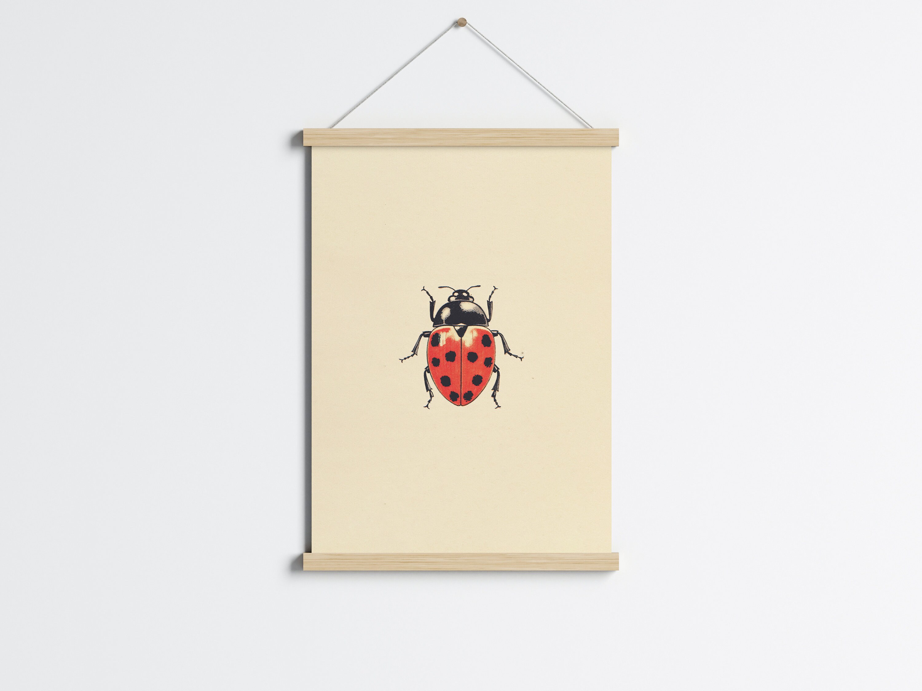 Vintage Ladybug, Antique Beetle PRINTABLE Wall Art Print | Red ...