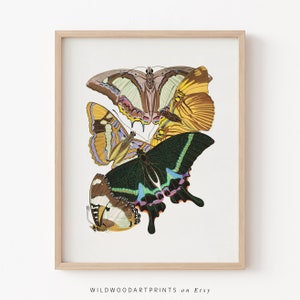 Impresión artística de mariposa de mediados de siglo, arte de pared imprimible de insectos vintage, ilustración de polilla Art Nouveau, decoración del hogar boho, DESCARGA DIGITAL instantánea
