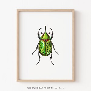 Green Scarab Beetle Art Print, Vintage Insect PRINTABLE Wall Art, Old Insect Illustration, Antique Boho Home Decor, Instant DIGITAL DOWNLOAD