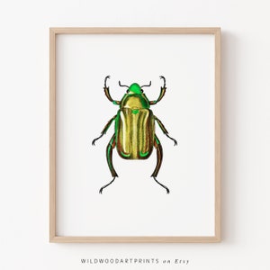 Green Scarab Beetle Art Print, Vintage Insect PRINTABLE Wall Art, Cute Bug Illustration, Mid Century Home Decor, Instant DIGITAL DOWNLOAD