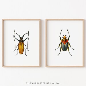 Vintage Beetle Art Print, Cute Bug Illustration, Set of 2 PRINTABLE Wall Art, Art Nouveau Insect Poster Home Decor, Instant DIGITAL DOWNLOAD