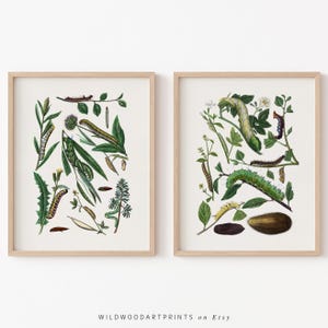 Vintage Caterpillar Art Print, Set of 2 PRINTABLE Wall Art, Retro Insect Poster, Animal Decor, Botanical Wall Art, Instant DIGITAL DOWNLOAD