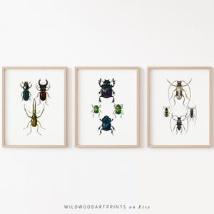 Vintage Insect Art Print, Set of 3 PRINTABLE Wall Art, Art Nouveau Beetle Poster, Retro Bug Painting, Animal Decor, Instant DIGITAL DOWNLOAD